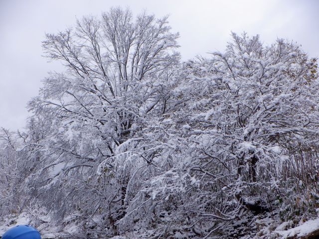 ����ς�i�F�ō�_Team Adventure