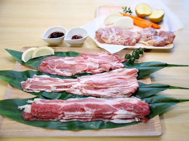 �����Z�b�g�A��P���E�����؁uJAPAN X�v�E�u���W���Y�̌{���̑喞������300gBBQ�v����_�{�錧�������{