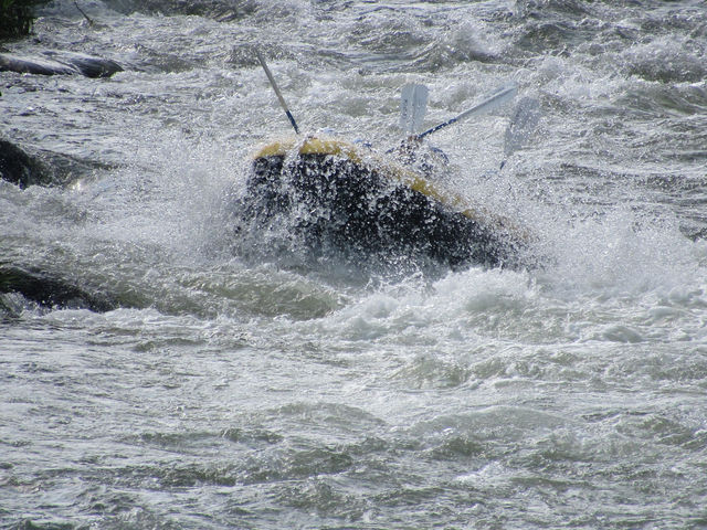 �傫�Ȕg�ɃA�^�b�N�I_RUSTICA�y���z���B�x�[�X