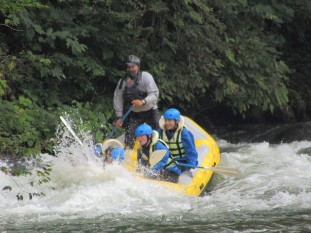 ��������̔g_RUSTICA�y���z���B�x�[�X