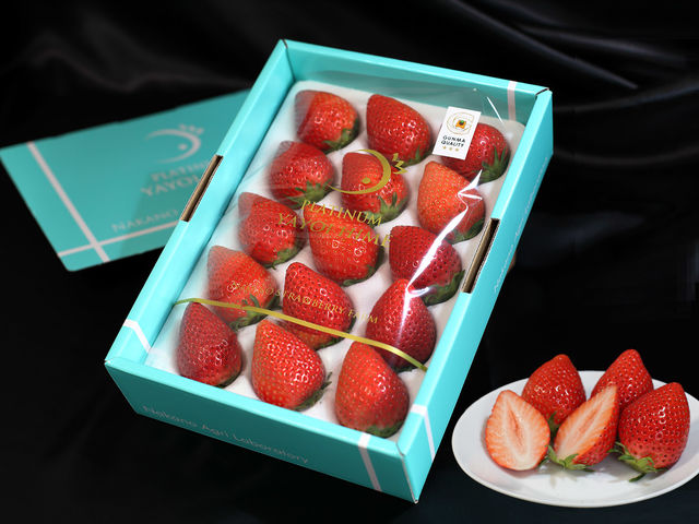 �����̂�悢�Ђ߂́A��t�ɕ��݂��ꂽ�������ł��w������������ق��A�����T�C�g�ł̓l�b�g�̔����s���Ă���܂��B���������ǂ��A�����i�ɂ��œK�ł��B_����X�g���x���[�t�@�[��