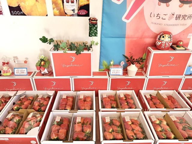 �������ł͓E�݂��Ă̂����������p�ӂ��Ă���܂��B�p�b�N�┠����̑��A�嗱��悢�Ђ߂͈ꗱ���炲�w�����������܂��B������Ƃ������y�Y�ɂ������ł����H^_^_����X�g���x���[�t�@�[��