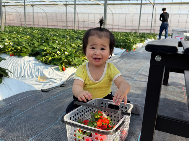 ���R�L���Ȋ��ł����������y���߂�v�����u�ނޑ̌��c�A�[�v�h�{�L�x�ȓy��ň�����Z���Ȃ����������y���݂��������B�E�񂾂��������������A��OK�i���L���j_����X�g���x���[�t�@�[��