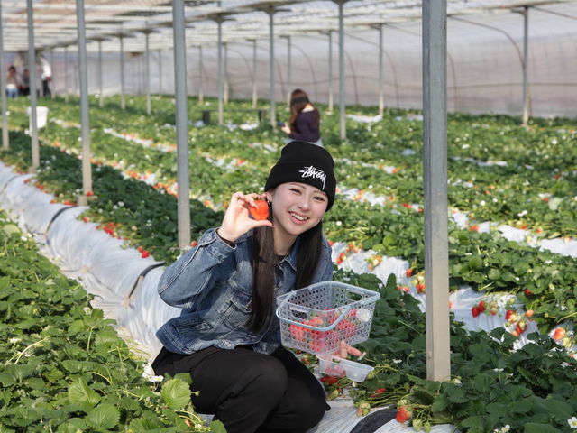 ���R�L���Ȋ��ł����������y���߂�v�����u�ނޑ̌��c�A�[�v�h�{�L�x�ȓy��ň�����Z���Ȃ����������y���݂��������B�E�񂾂��������������A��OK�i���L���j_����X�g���x���[�t�@�[��