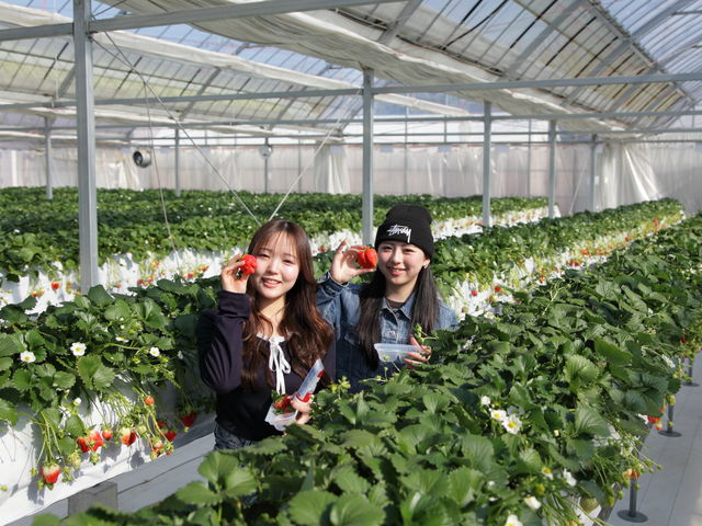 2021�N���Ɋ����������ݍ͔|�n�E�X�͂��q���܂̖ڐ��̍����ɂ�����������܂��B������̃n�E�X�ł̂��������v�����̓x�r�[�J�[��Ԉ֎q���y�X�����ꂢ�������܂��B_����X�g���x���[�t�@�[��