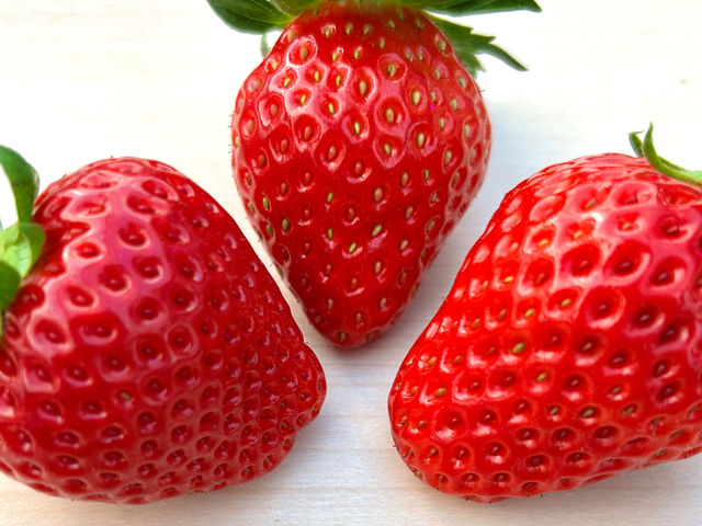 �ߐ{�݂�т̗� �t���[�c�p�[�N�X�̕�