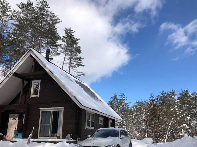 Atelier Tea Tree ���n����