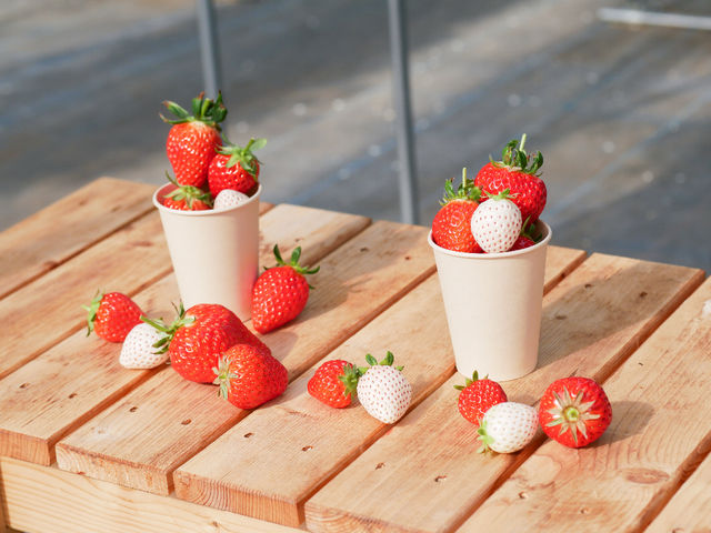 �c�������_��