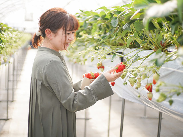 �c�������_��