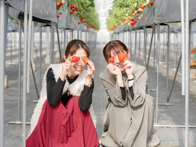 �c�������_��