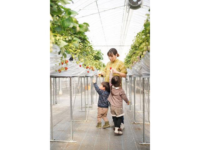 �c�������_��