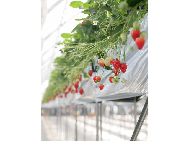 �c�������_��