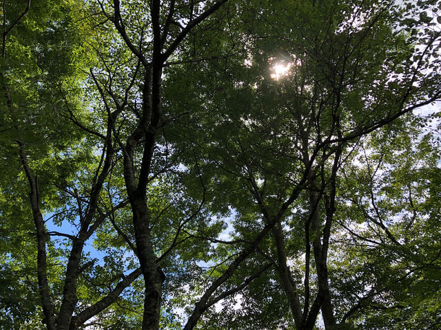 urujyu�̋��p������