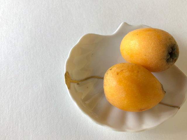 urujyu�̋��p������