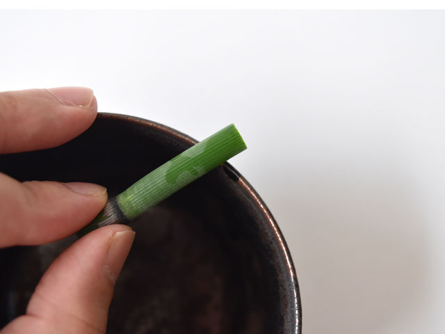 urujyu�̋��p������