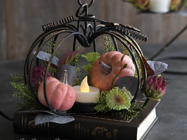 �A�C�A���p���v�L���̏H�F�n���E�B��_koharubiyori