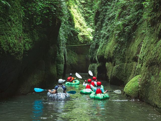 �O���Ɍ�����̂́A�؁B�O���[���Q�[�g�ƌĂԋ��J�̓����ł��B_��ʎВc�@�l���t�C�Y��