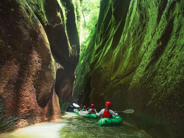 �������˂��ăO���[���Ɍ����܂��B_��ʎВc�@�l���t�C�Y��