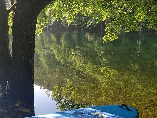 SUP�A�J���b�N�̃x�X�g�|�C���g_Lien����