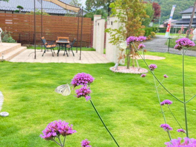 lien����̒���A�h�b�N�����ɂ��Ȃ�܂���_Lien����