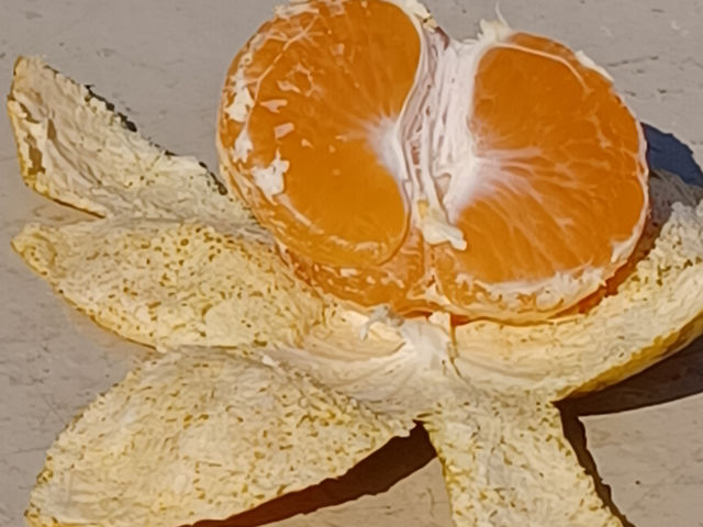 �ѓ��݂���