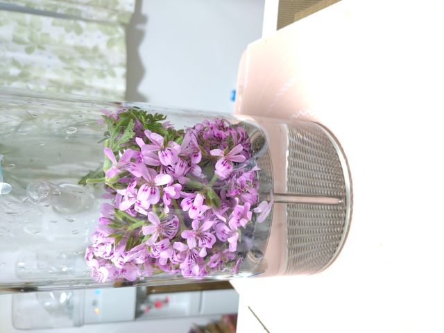 �A���}�Ǝ��肹�����񋳎�RoomSealiah