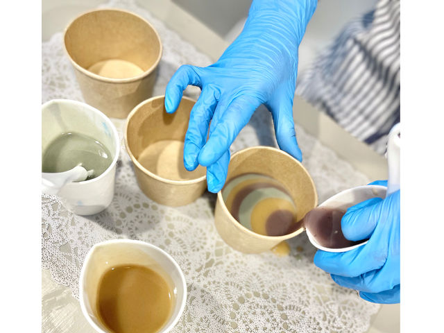 Camomille Matricaire