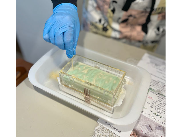 Camomille Matricaire