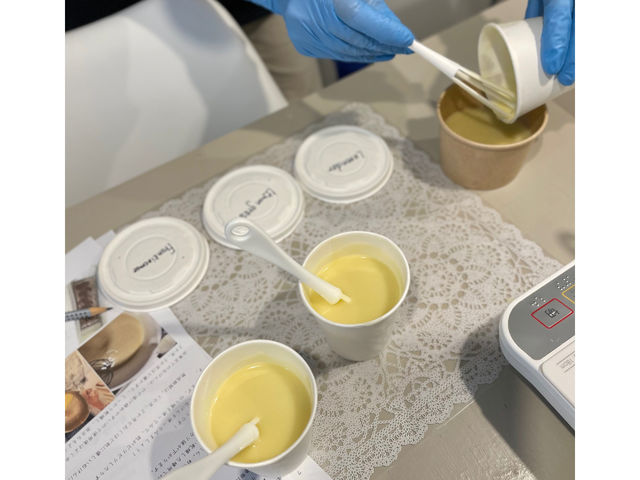 Camomille Matricaire