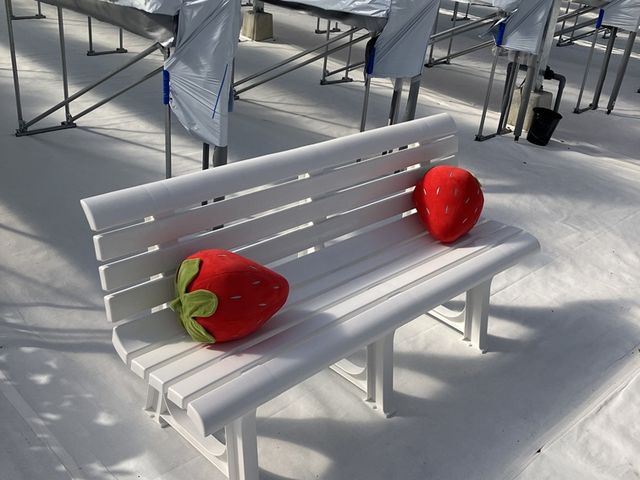 ���̂͂炢�������̎ʐ^1