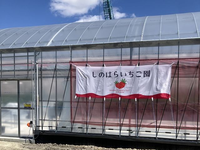 ���̂͂炢������