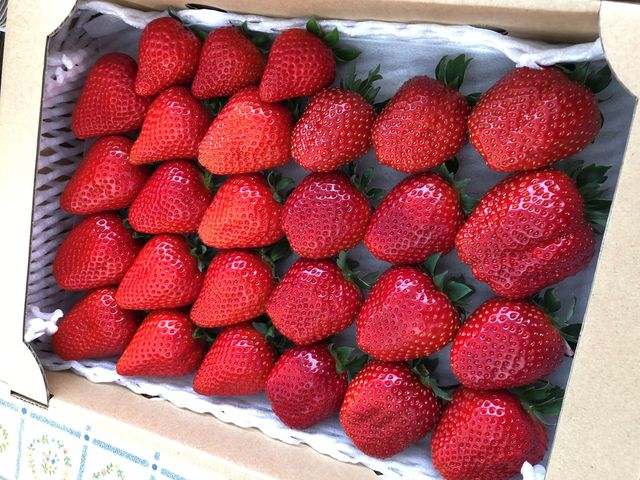 �����߃t�@�[��