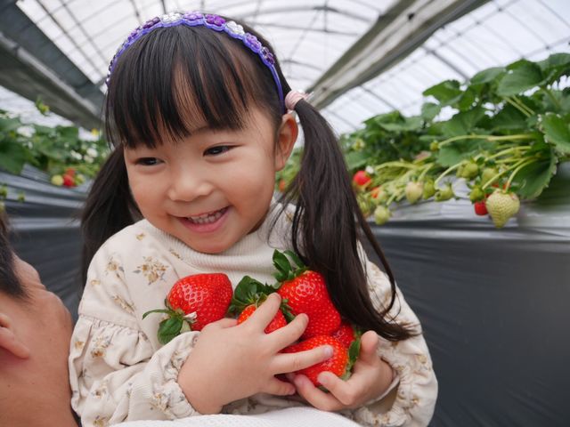 �����߃t�@�[��