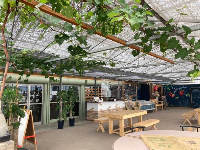 �����߃t�@�[��