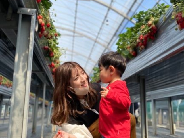 �����߃t�@�[��