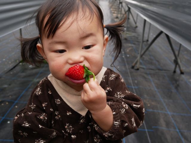 �����߃t�@�[��