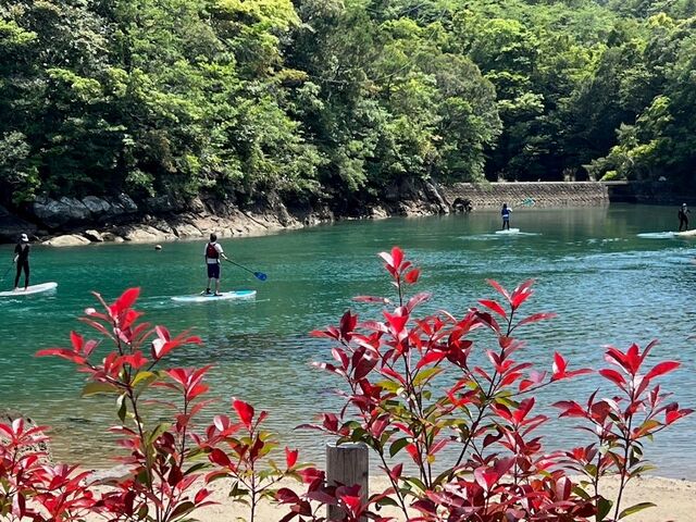 SUP���i_4491Base�i�V�V�N�C�x�[�X�j