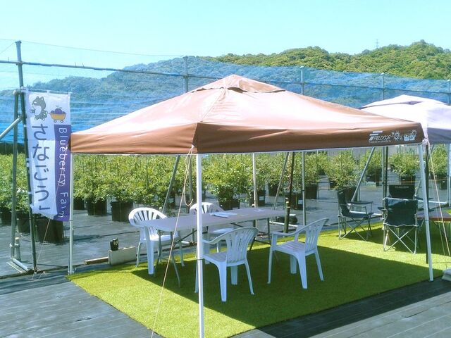 blueberryfarm Ȃ̎ʐ^1