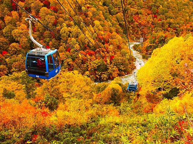 �c��h���S���h���̎ʐ^1