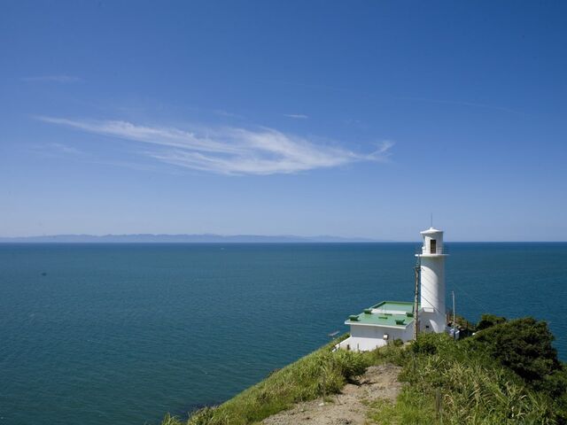 �ɂ�����ό����V����?��o�X�̎ʐ^1