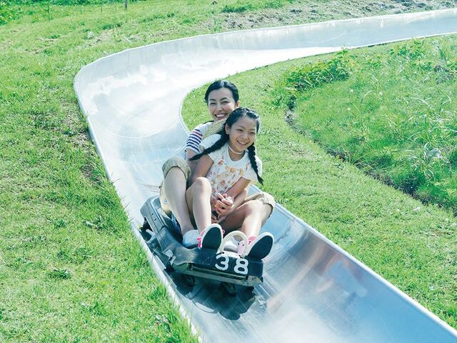 ���򍂌��@�p�m���}�p�[�N�̎ʐ^1