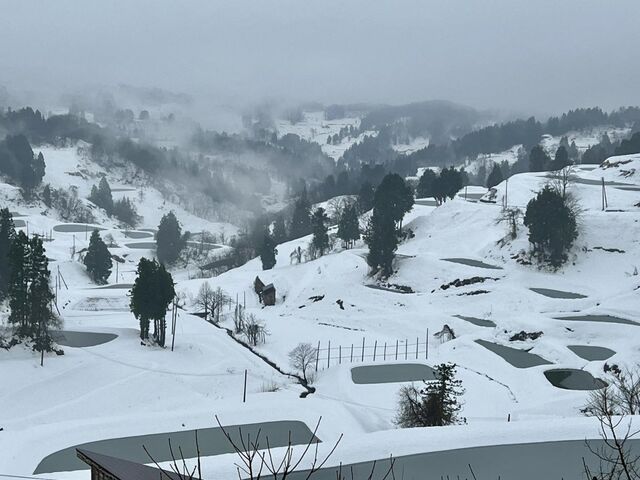 �ɂ��ɂ��Ђ�΁i�R�Îu�̒I�c�E�I�r�j