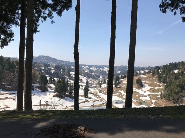 �ɂ��ɂ��Ђ�΁i�R�Îu�̒I�c�E�I�r�j