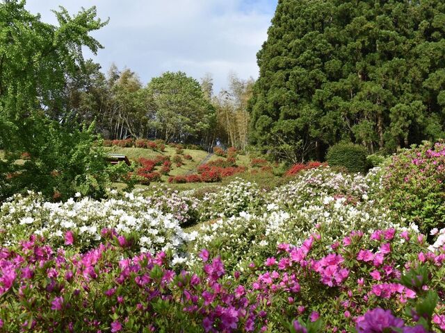 �����R����