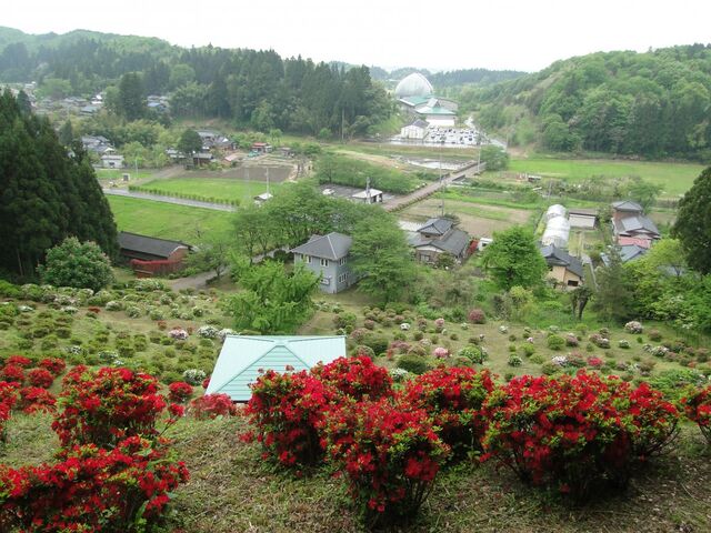 �����R����