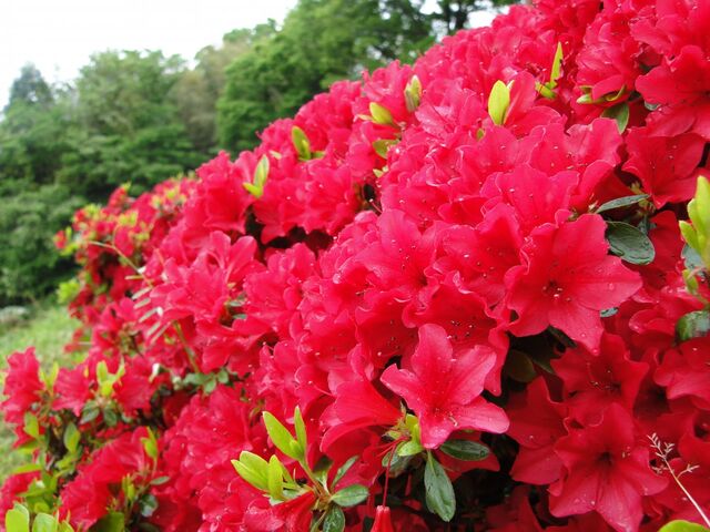 �����R����