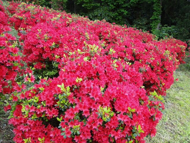 �����R����