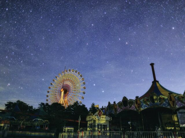 �����T���V���C���L�����v