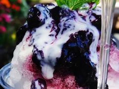 Sachi Blueberry Farm̎ʐ^1