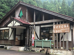 Forest knotの写真1